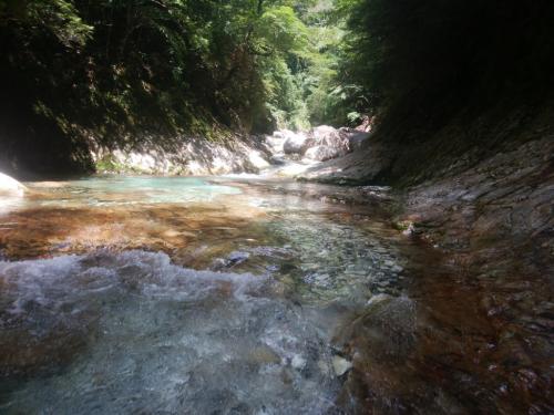 うわー今年は本当に綺麗だわ