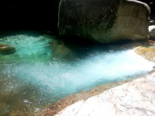 ここ、いつものサイダーのところ。今日は本当にサイダーみたいだ