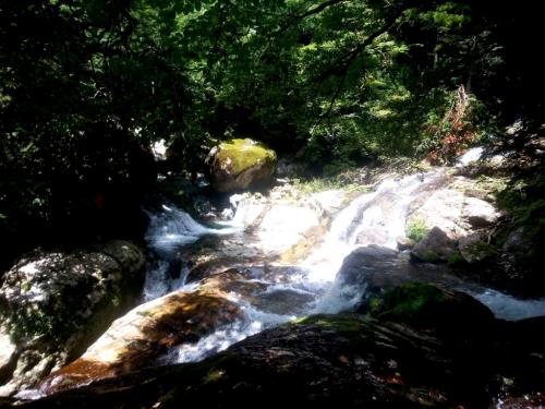 箱状廊下は人がたくさんいたので、帰りにして、先に垢離取場へ向かう