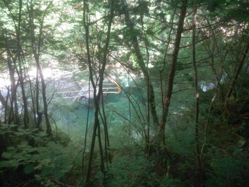 沢に下りていく途中にみえたけど、やっぱ大峰の水は綺麗だ！