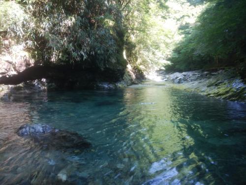 写真ではわかりにくいけど、素晴らしく透き通った水。ここを泳いでいく