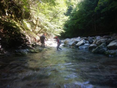 じゃんじゃん遡行していく