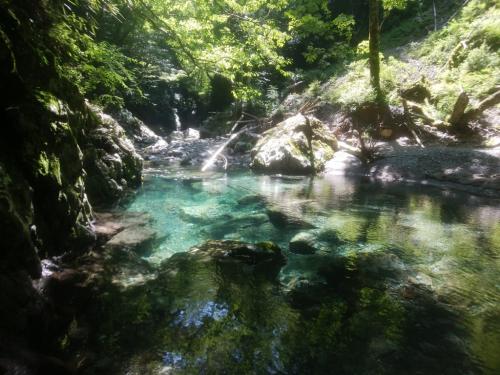 写真ではグリーンっぽいけど、実際はちょい大峰ブルーの綺麗な水