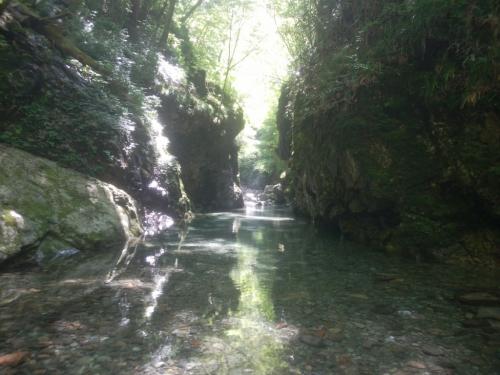 へっついさんに到着。前回は水量が少し多くて肩の下ぐらいまで入ったけど、今年は水量が少なく腰上ぐらいまでだった