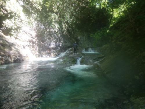 しかし、素晴らしい透明度だ