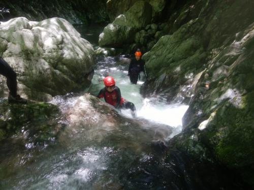 こまっちゃん、がんばれ～～～！！！