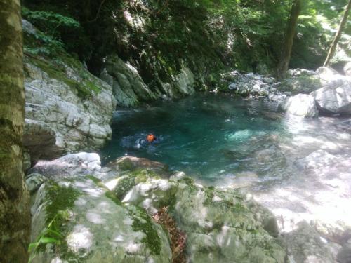 泳ぎまくるひでぶーさん