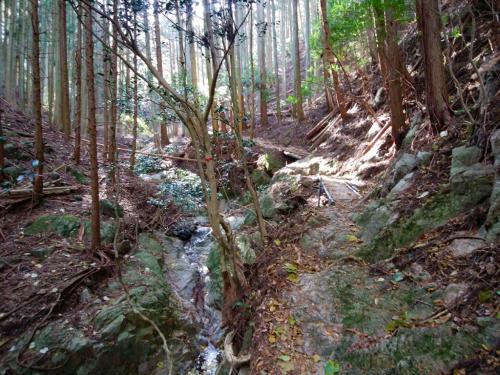 最初の沢筋は楽ちんコースが続く