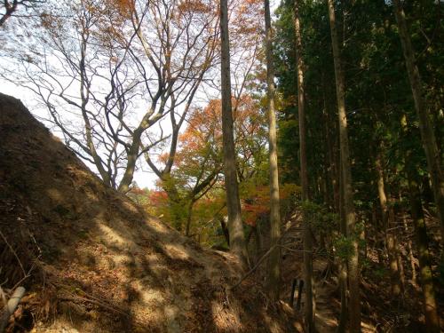 紅葉でもまだ色づいてないのともう終わりかけてるのと、ごちゃまぜにある。気候や天候がおかしかったせいかな！？