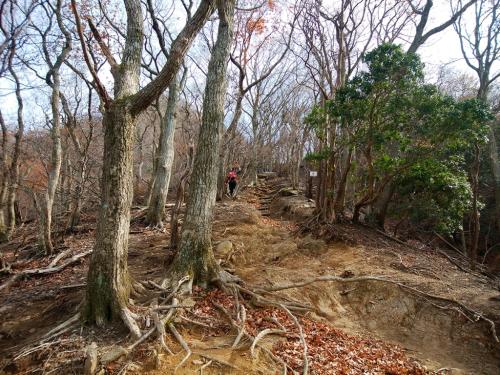 この９番からの尾根がかなり急登で標高10mおきに息が切れる
