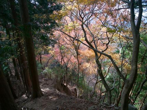 下山時の風景でちょっとだけ紅葉が見えたけどもう色あせてほぼ終わりですな