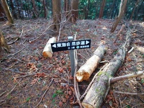 昔、東海自然歩道制覇を考えたことあったけど、こんなところまであるのか！？まあ大阪から東京だからね・・・