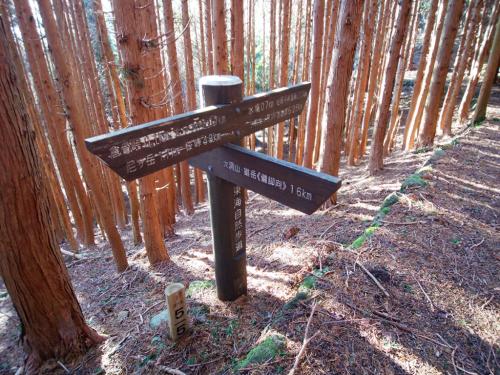 大洞山・雄岳まで1.6kmで健脚向かぁ・・・