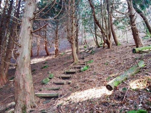 いきなりこの階段の急登がはじまる。距離はそこまでじゃなかったんだけど登り始めからこれだったので、ちょっとしんどかった。