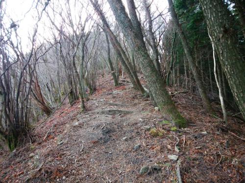 雄岳ピークへの登りの始まり。上を見上げるとさっきの地図の通り急登っぽい。