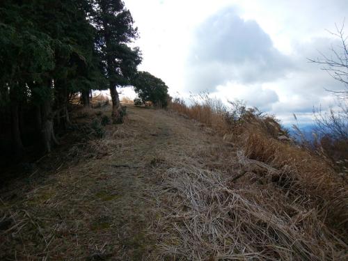急登が終わって開けた場所にでると山頂はすぐそこ