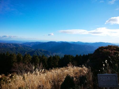 津市がちょろっと見えてるのかな！？その向こう側は海だということがハッキリわかった。