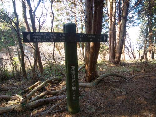 尼ヶ岳まで1.6kmということはさっきの大洞山・雄岳くらいの距離か・・・