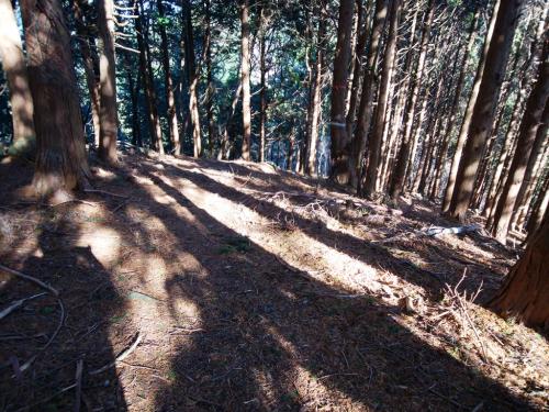 ここで一旦ストーンッと下るが左側の木にプレートがあった