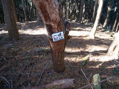 スマホのGPS地図では記載されていたけど、一ノ峰（802.6m）。倉骨峠が800mくらいあるので、まだ2mくらいしか登ってないことになる