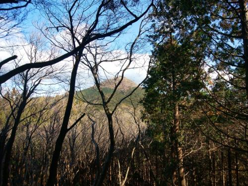 尼ヶ岳のピークが見えた