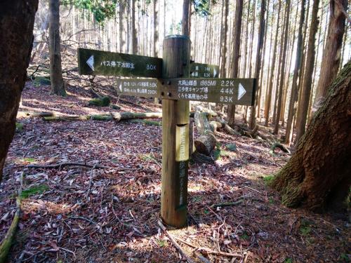 一ノ峰から下った先にある大タワの四つ辻