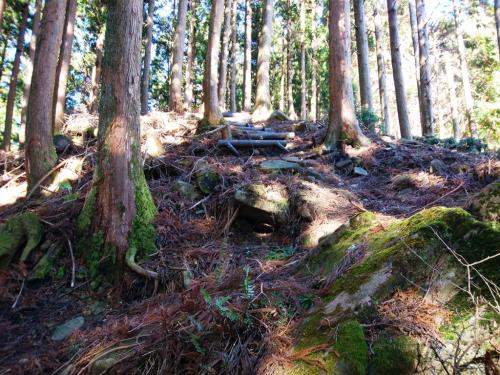 階段が見えたけど、実はこの階段が結構長かった