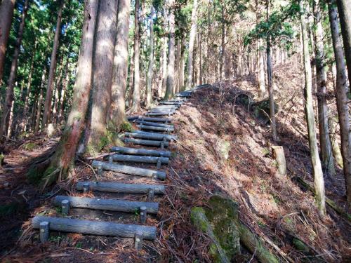 続く続く階段道。見上げただけでぞっとしていた