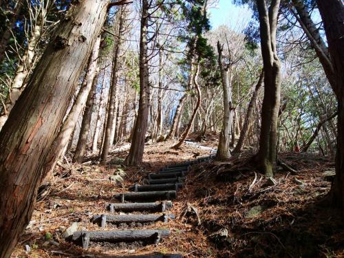 長い階段道も上が明るくなってきたらあと少し。階段続きは嫌なんよね～