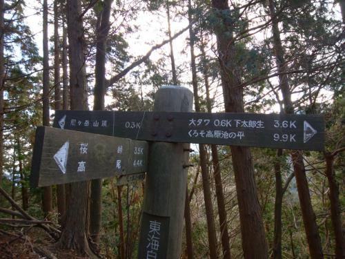 ここで分岐。尼ヶ岳山頂へは一般向ルートと健脚向ルートがあるけど、予定してたのは直登になる健脚向ルート。