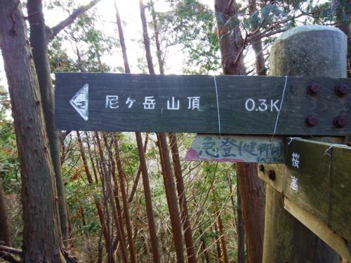 直登のほうは山頂まで0.3kmで急登、すべり易いと書いてあった。確かに地図みてたけどキツそうだ。さっき登った大洞山・雄岳山頂への登りみたいな感じなのか！？まあそれでも行くことにした
