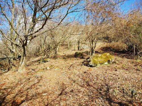 予想通り、急登が始まるけど滑りやすい砂地や、もう昼前で気温が少し上がってきたのか、霜がとけた土がよく滑る。踏み跡はあるものの登りにくい道だった