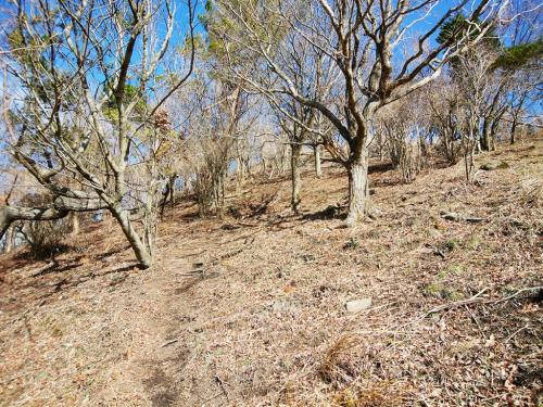 今回の登りはさっきと違って足にくることはなく、スローペースだったので息切れもしなかったけど、とにかく歩きにくい。しかもこれを下るのは嫌だと考え始めて、下山は一般向ルートにすることにした