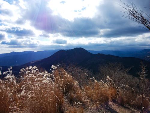 振り返るとさっき登った大洞山がよく見えた。大洞山がよく見える場所はここだけだった