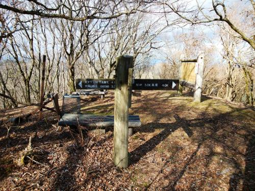 階段を下りてすぐに分岐。ここからトラバースしていく