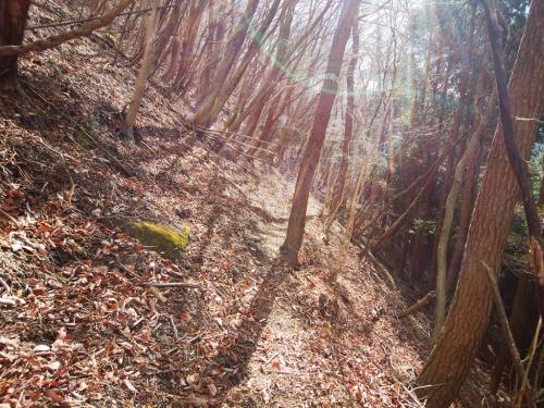 トラバースの道は細くて急な斜面なのかほぼ落ちてる感じだった。これは積雪時にここを通るのはヤバイだろうなって思いながら歩いていた