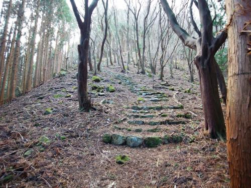 最後、何気にうとおしいのは一ノ峰への登り返しのこの階段。距離は短いものの石の階段でちょい急登だしペース乱される