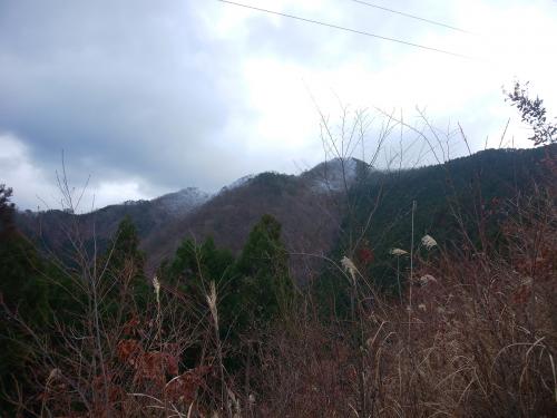鉄塔付近から天和山の稜線が見えたけど、ピーク付近だけ霧氷が期待できそうと思いながら登っていく
