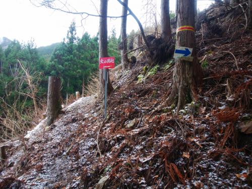ここでトラバースが終わり巻いた尾根への登りが始まる。