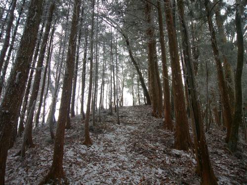 稜線（尾根）が見えた
