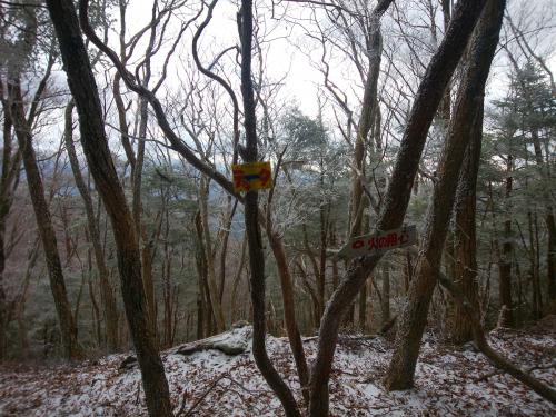 ここで天和山の稜線（尾根）と合流。地図上では1183のピーク。（右）西側へいくと滝山、（左）東側へいくと天和山。滝山もいってみたかったけどねえ