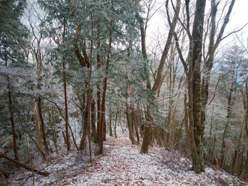 稜線歩きは風が吹き荒れていたけど、霧氷がちらほら