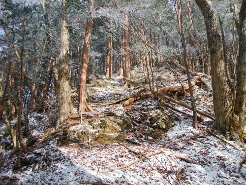 稜線はちょっとしたアップダウンが続く。地図で見ると天和山まで近いようだったけど結構時間かかった