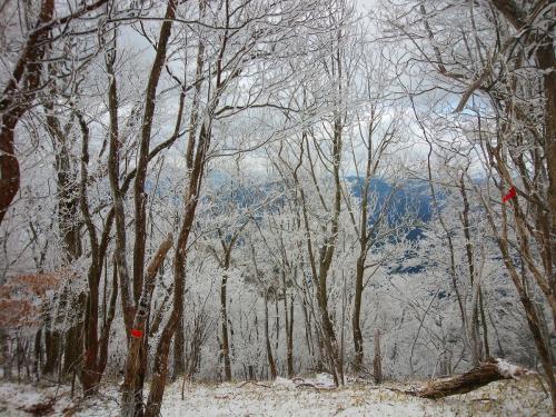 霧氷が素晴らしい。青空がでてくれればなぁっと思いながら歩いていく