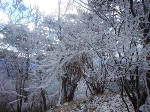 まだちょっと少ないけどエビのしっぽもこの通り
