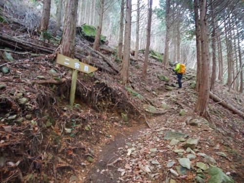 二合目に到着。この山は合目の感覚がなんか長い感じがする