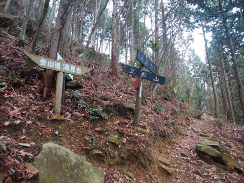 滝見台との分岐。氷瀑があれば立ち寄ってもよかったんだけど、この気温なのでスルー