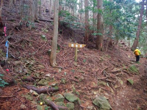 四合目。三合目からは楽な登山道だ