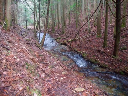 沢に出た。結構綺麗な沢でナメ地帯ばっかのような感じがした