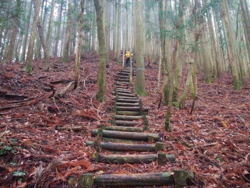 結構下からみると長い階段だった